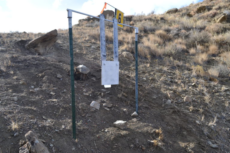 Cameo Shooting Complex Revic