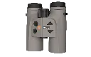 BR12_2_Gray.553 (2).webp