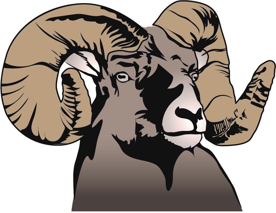 Shedhorn Sports